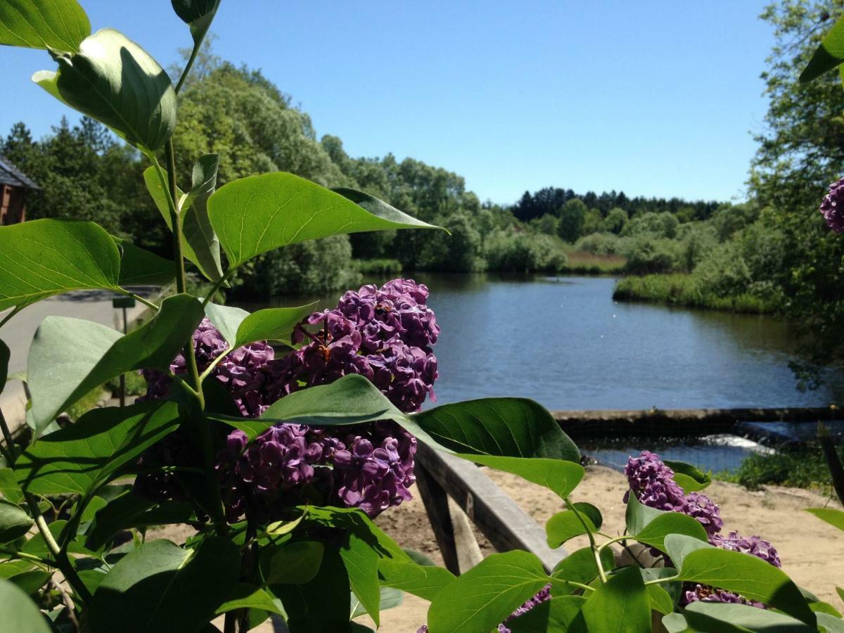 Sulkendrup Molle Appartement Nyborg Buitenkant foto